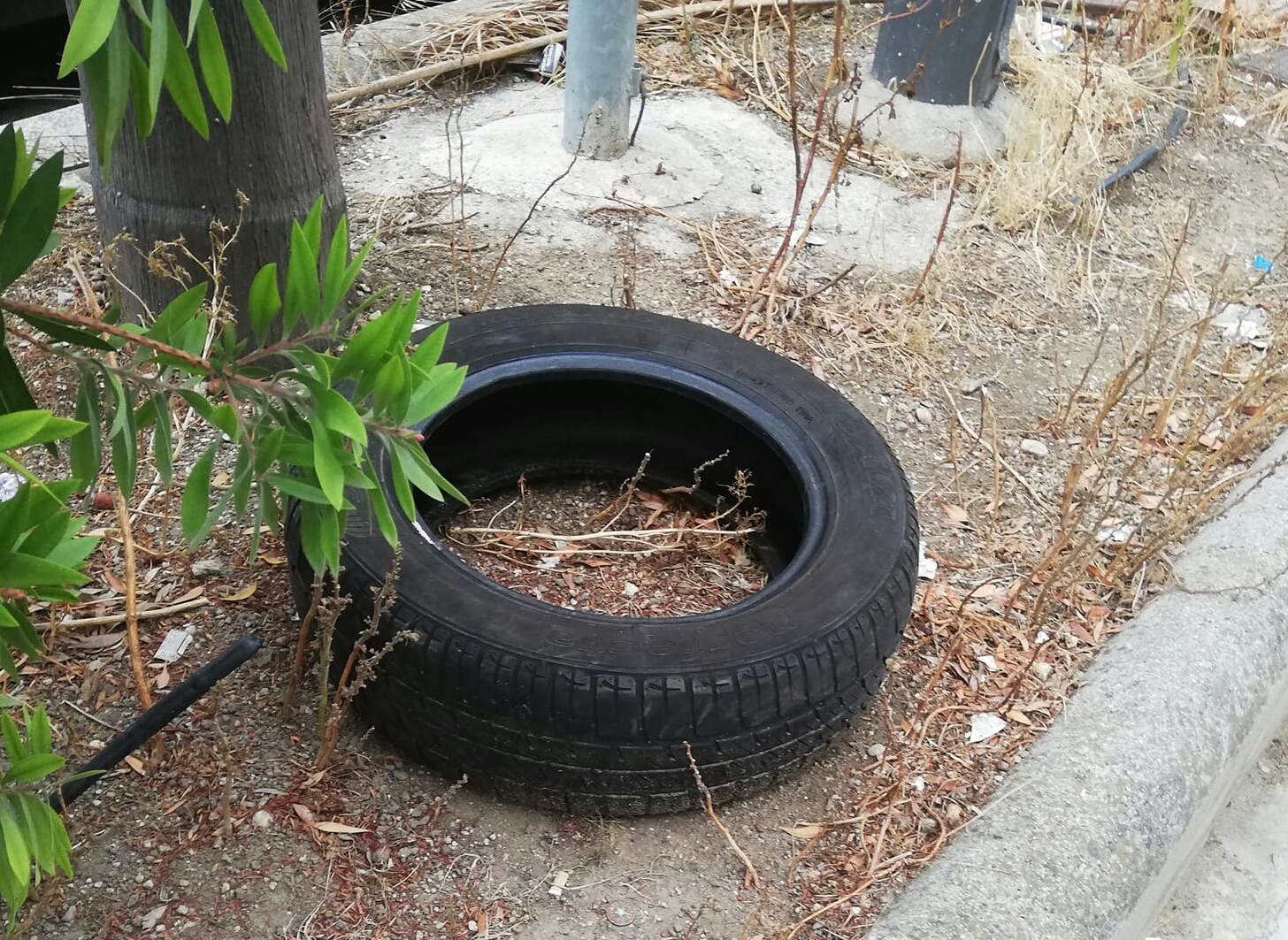 Provinciale: aiuole ridotte in discariche