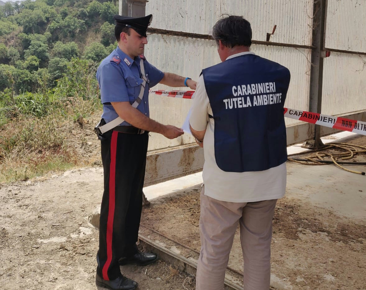 Santa Lucia del Mela, sequestrato allevamento di bestiame