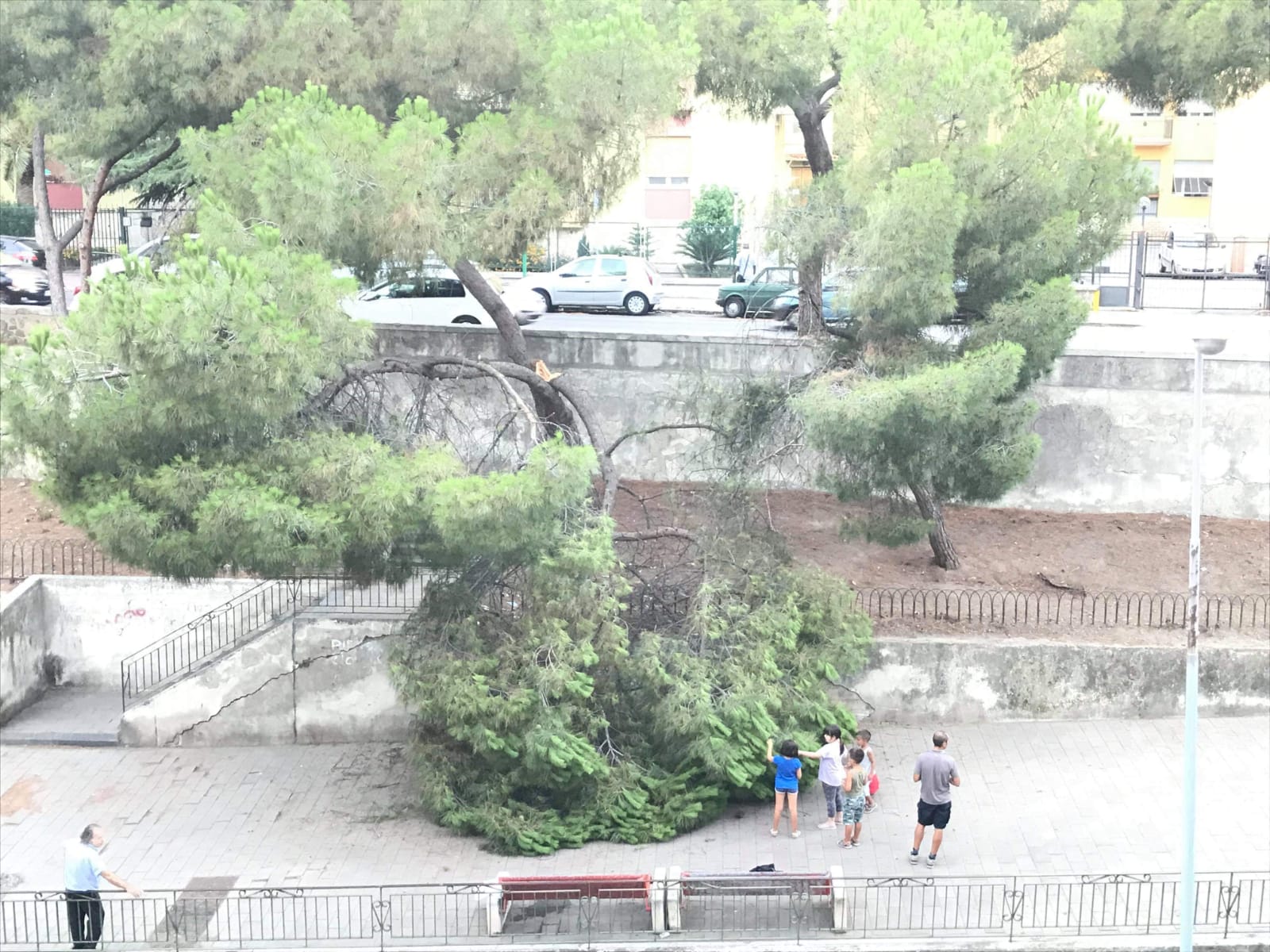 Albero si schianta al suolo, bimbi miracolati