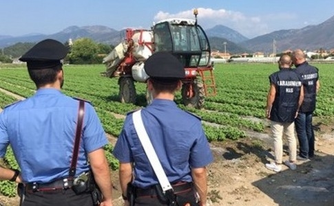 Controlli sui luoghi di lavoro: sei aziende su otto erano irregolari