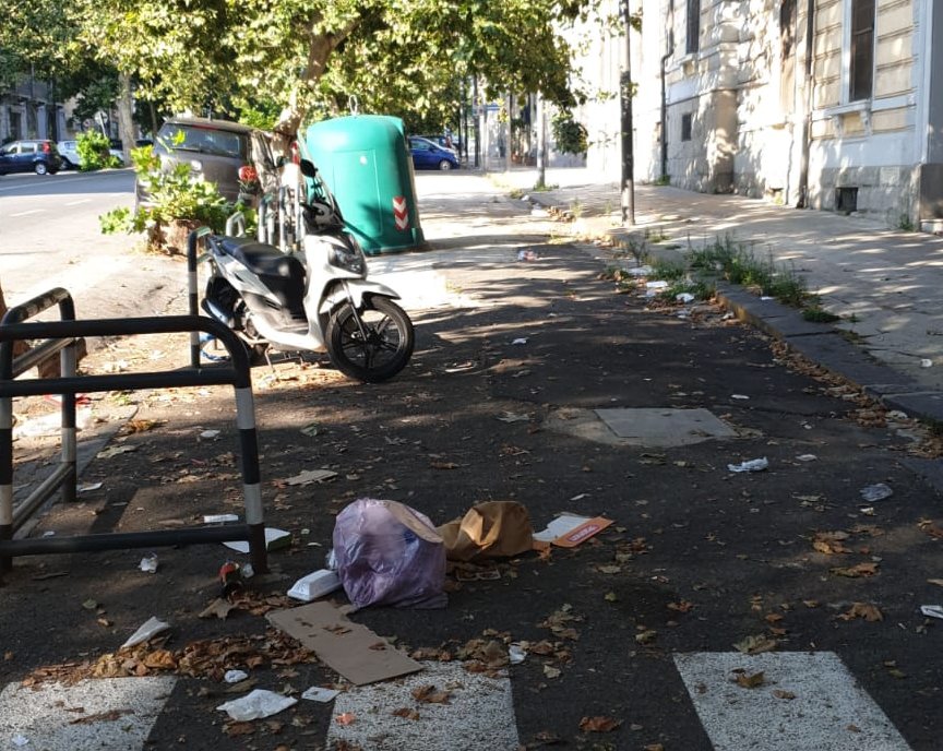 Gioveni: "Inaccettabile degrado del viale San Martino"