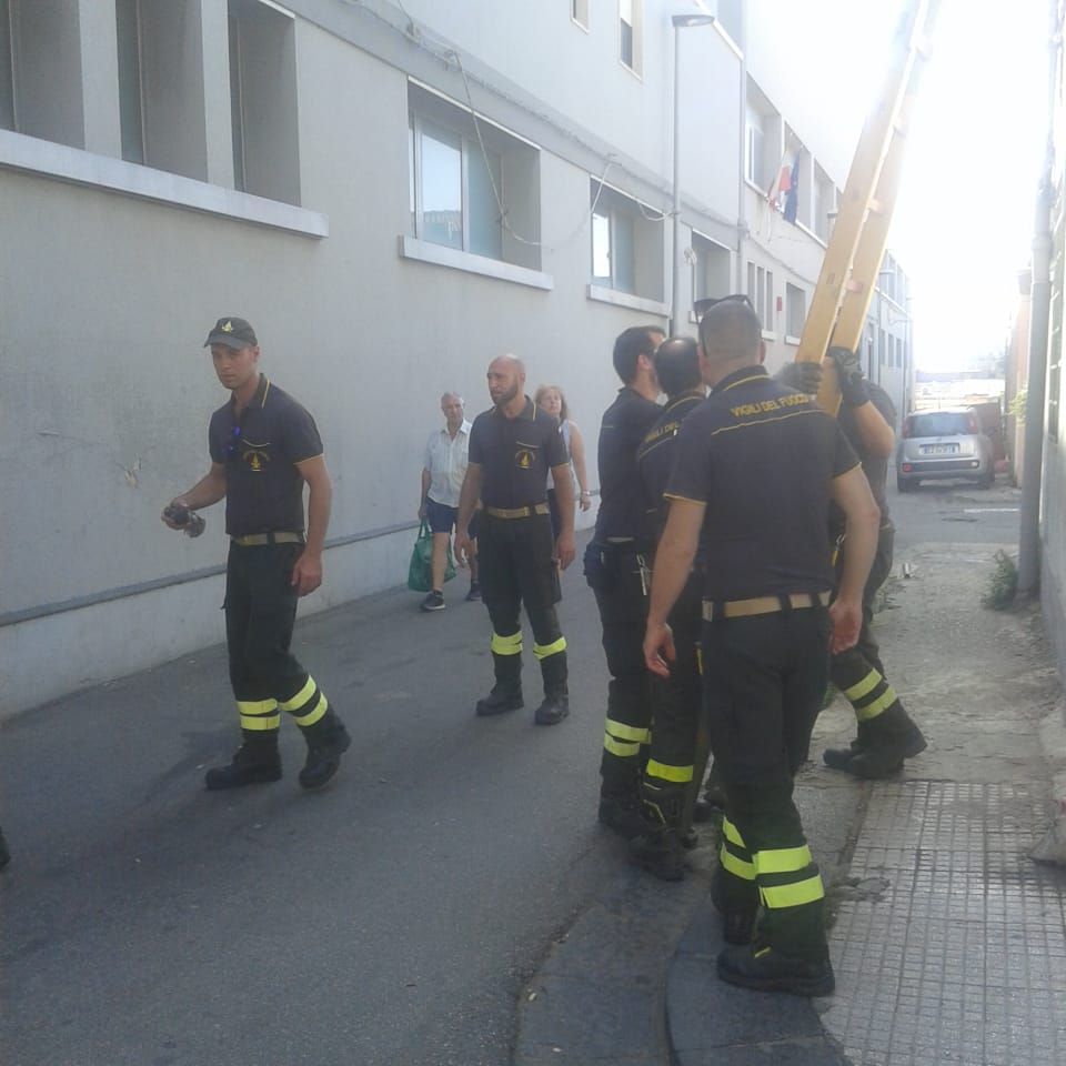 Vigili del fuoco, due squadre per liberare una colomba