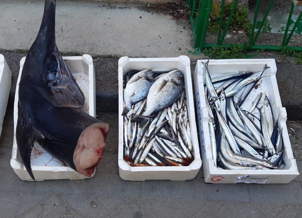 Ganzirri, sequestrato pesce ad ambulante