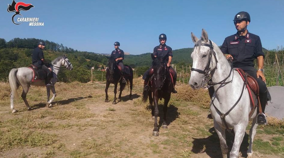 Nomine dei Parchi,  strappo di Musumeci