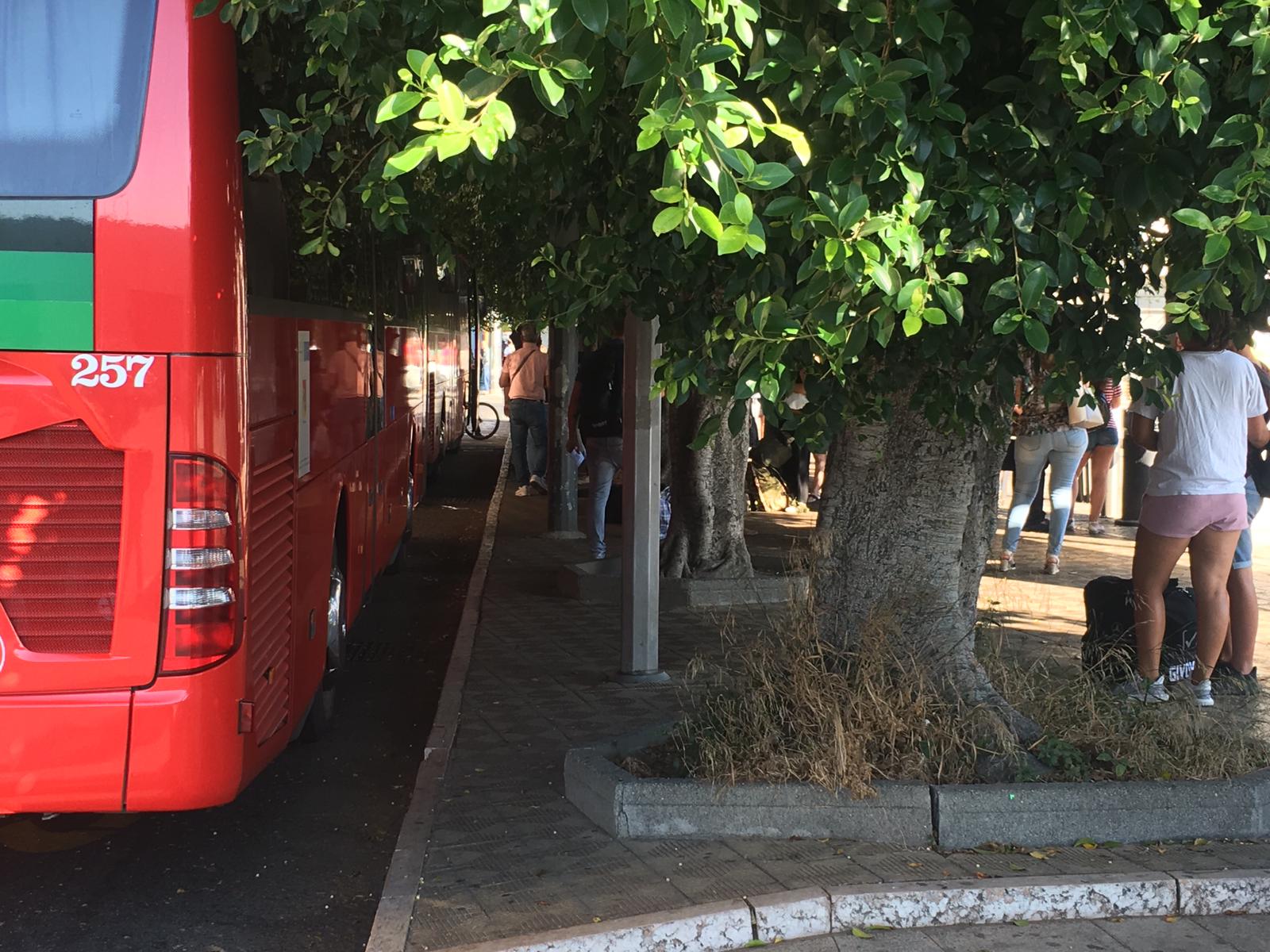 Potatura alberi, da domani interventi nel perimetro della stazione