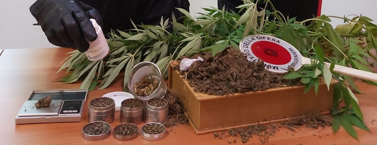 Brolo: coltivava marijuana, 35enne finisce in manette