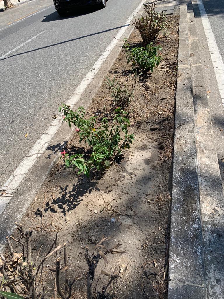 Via Garibaldi, interventi di scerbatura nello spartitraffico