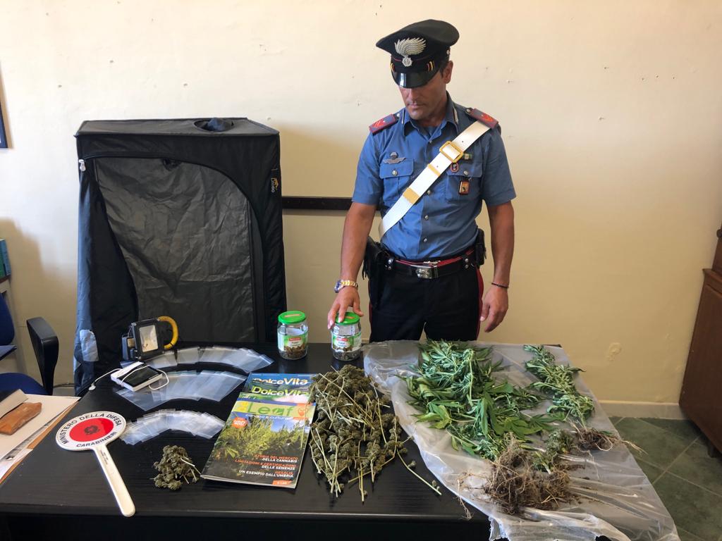 San Pier Niceto: 26enne arrestato per detenzione di marijuana
