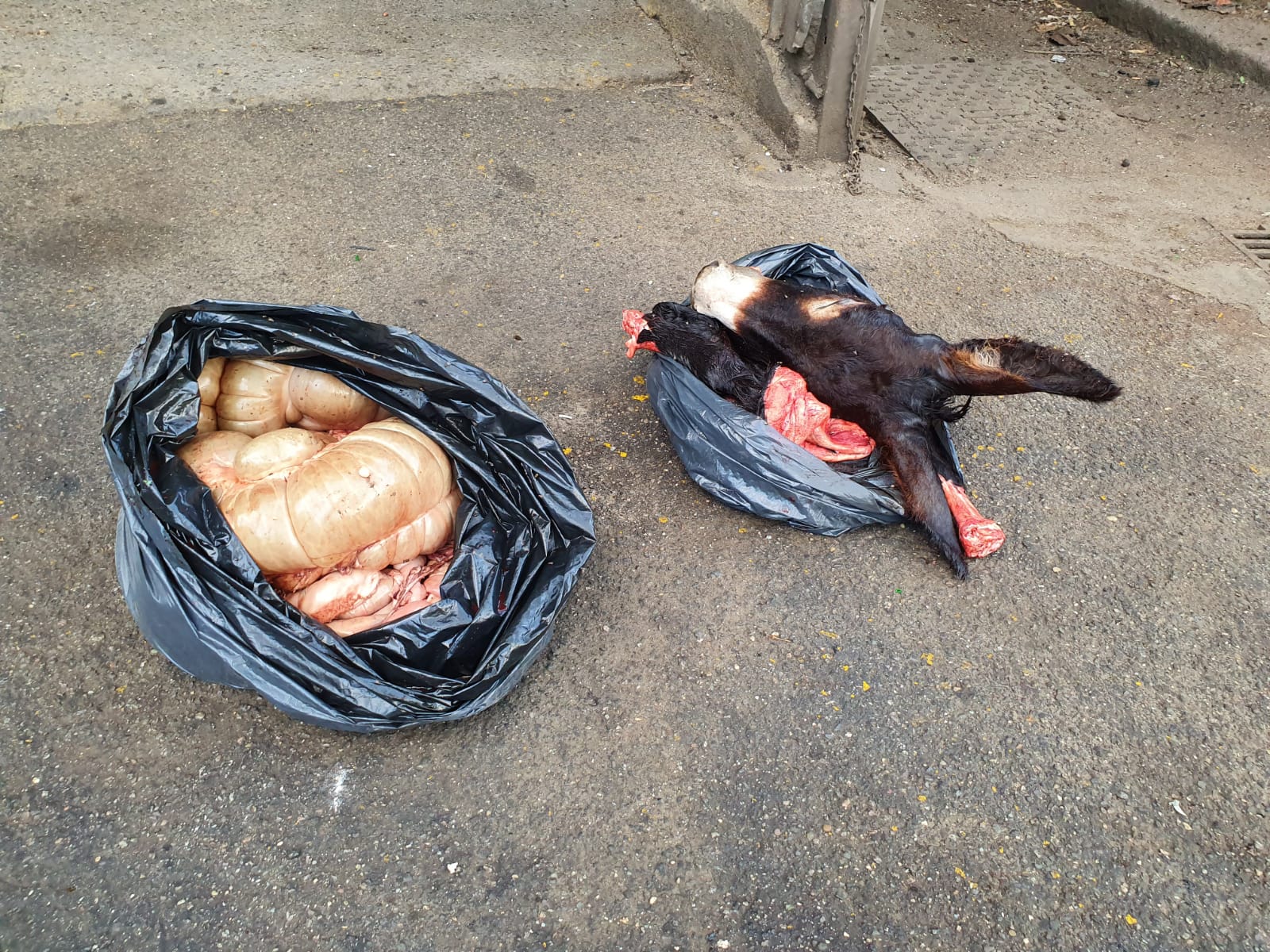 Macellazione clandestina, 47enne stangato a Bordonaro