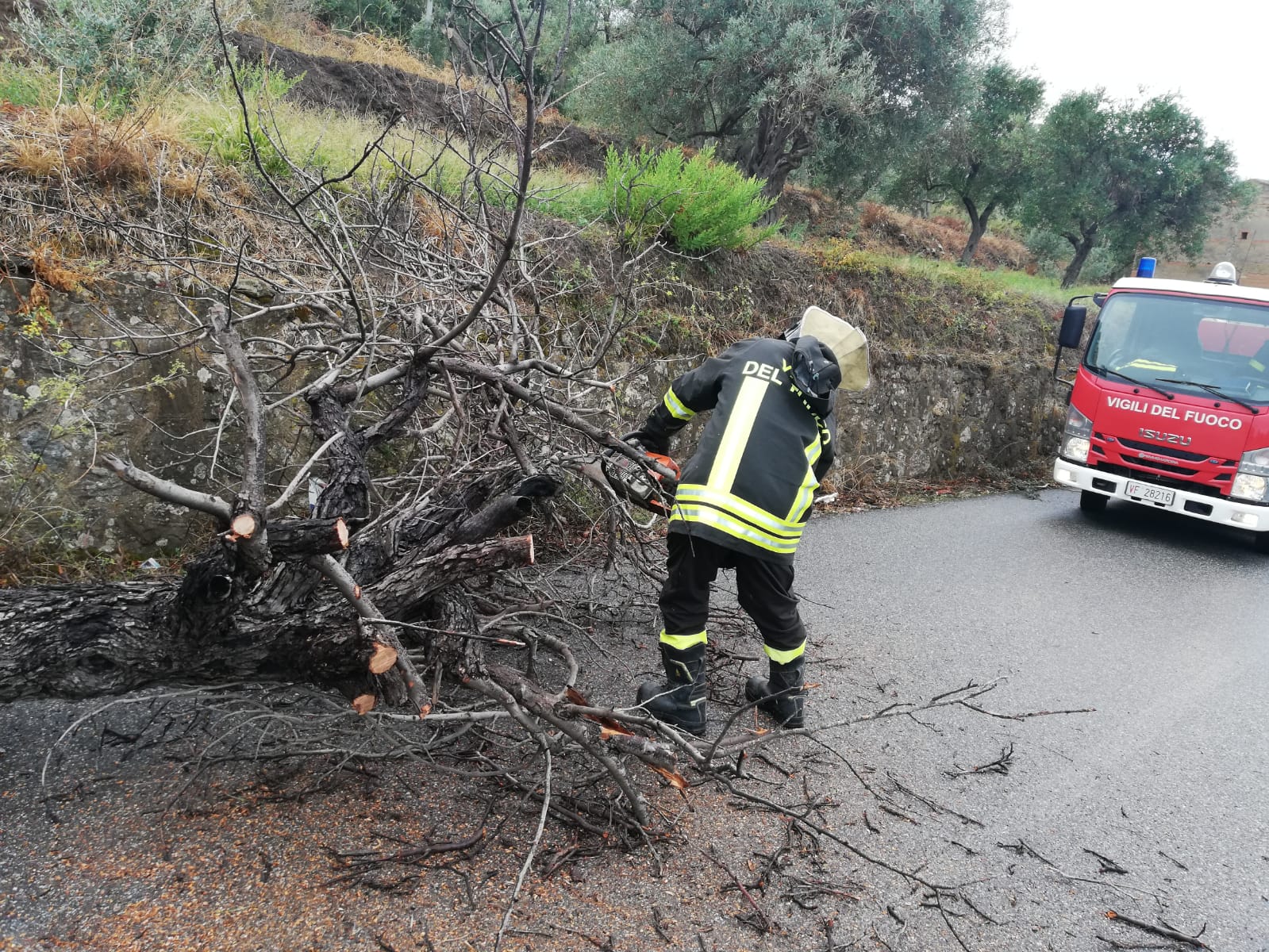Maltempo, albero si schianta a Spartà