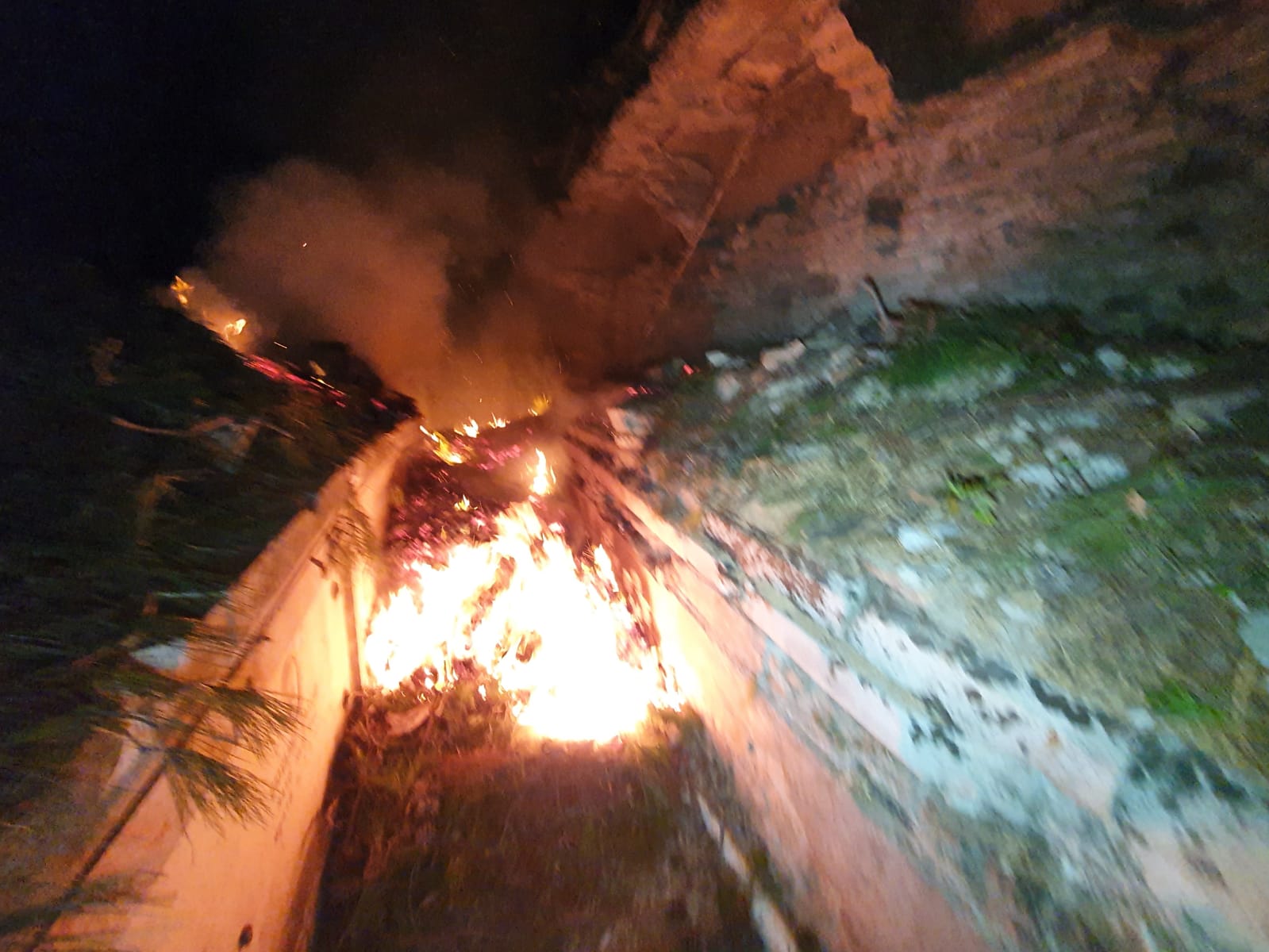 Resti di pino abbandonati al Gran camposanto: scoppia l'incendio