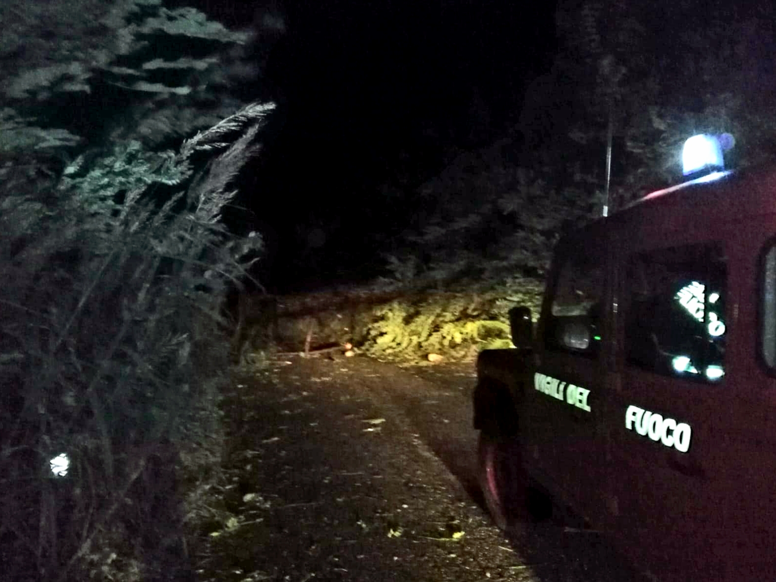 Portella Castanea, strada chiusa: albero sradicato dal vento