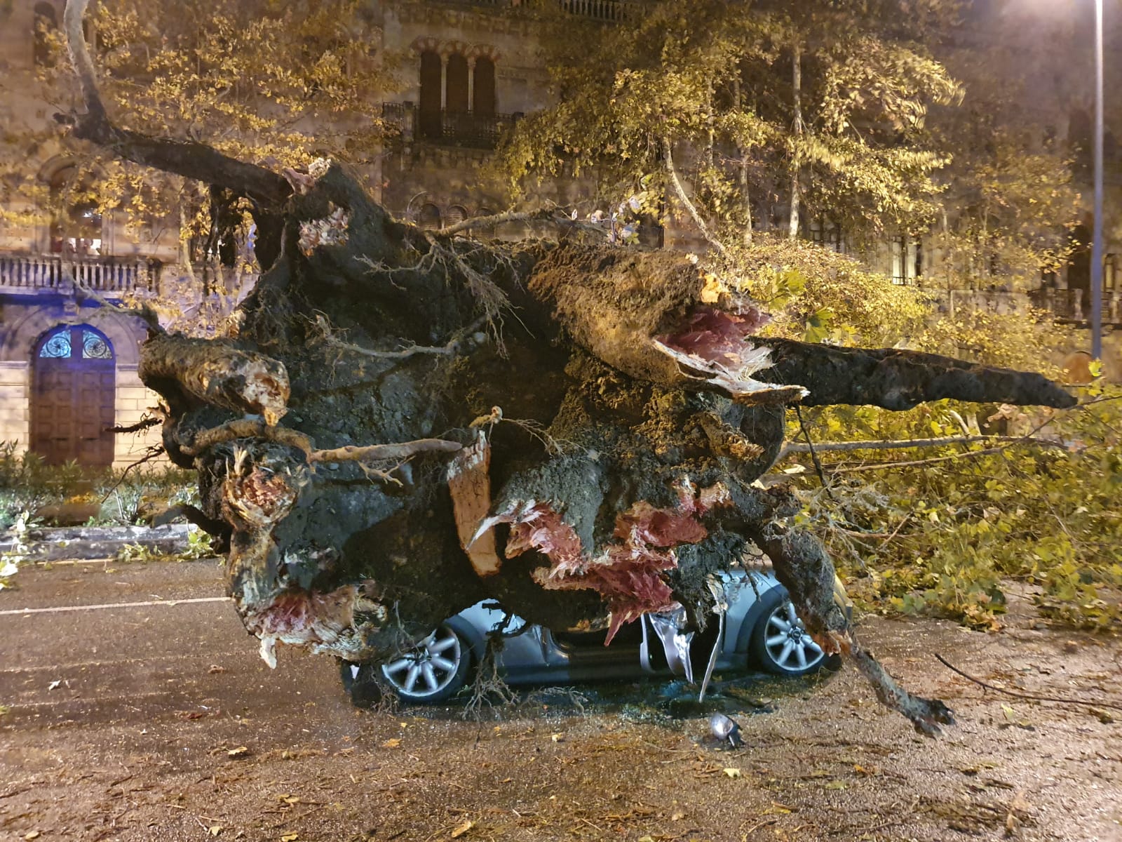 Via Garibaldi, automobile schiacciata da albero: due feriti