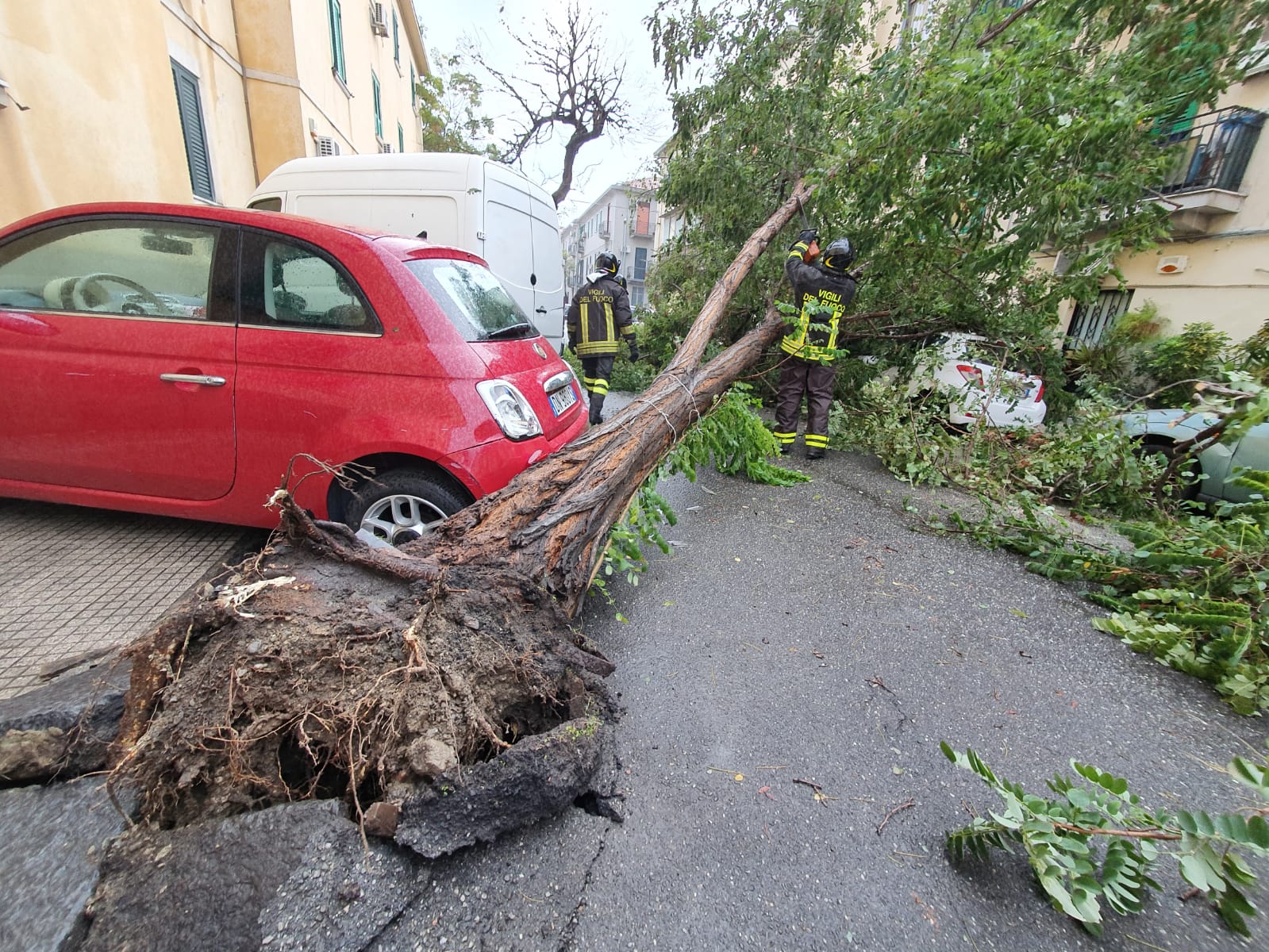 Albero sradicato dal vento in via Giolitti