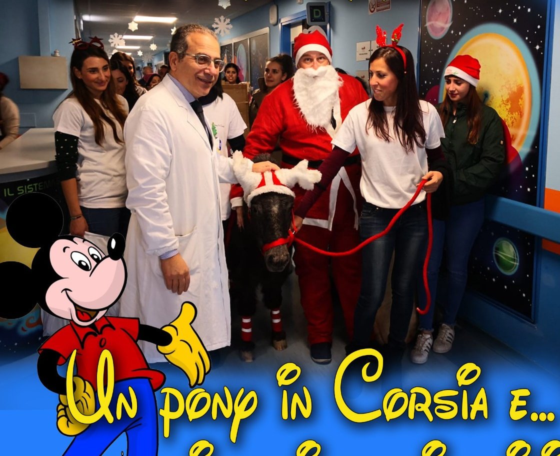 Policlinico, domani c'è "Pony in corsia" di Equitando