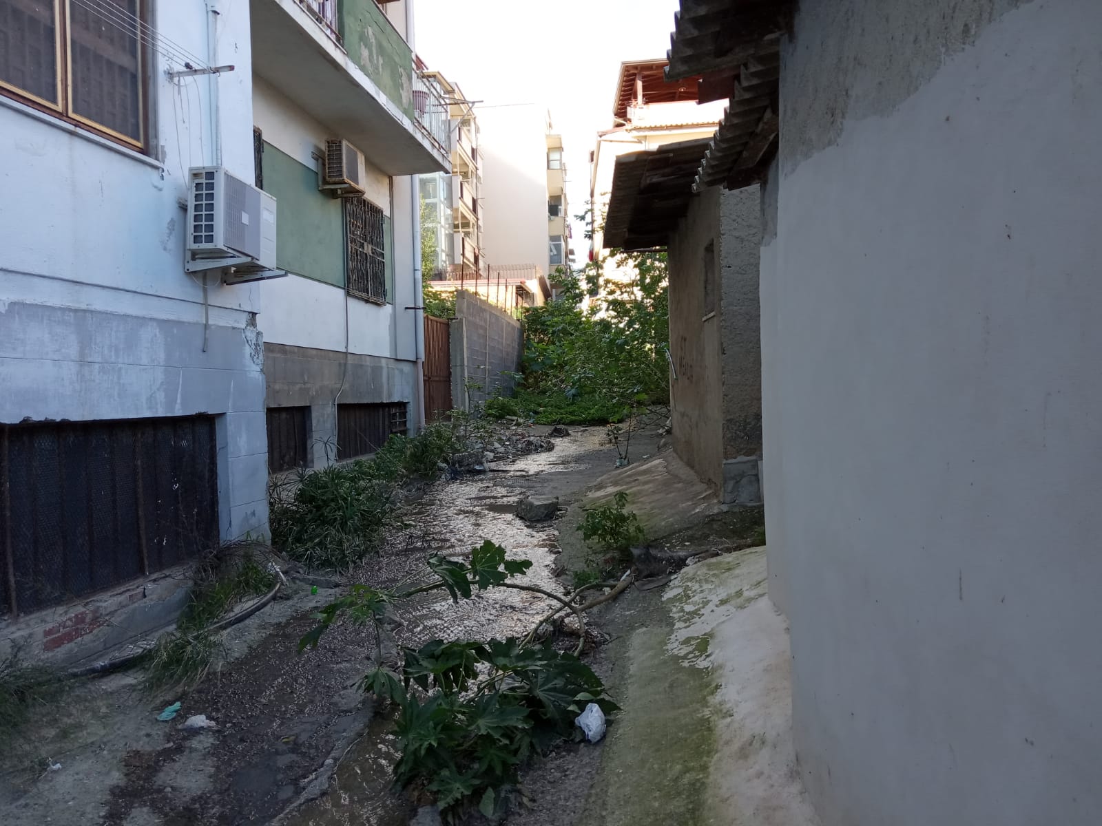 Torrente Tara, avviati i lavori di pulizia. Bucalo: "Da tempo chiedevo l'intervento"