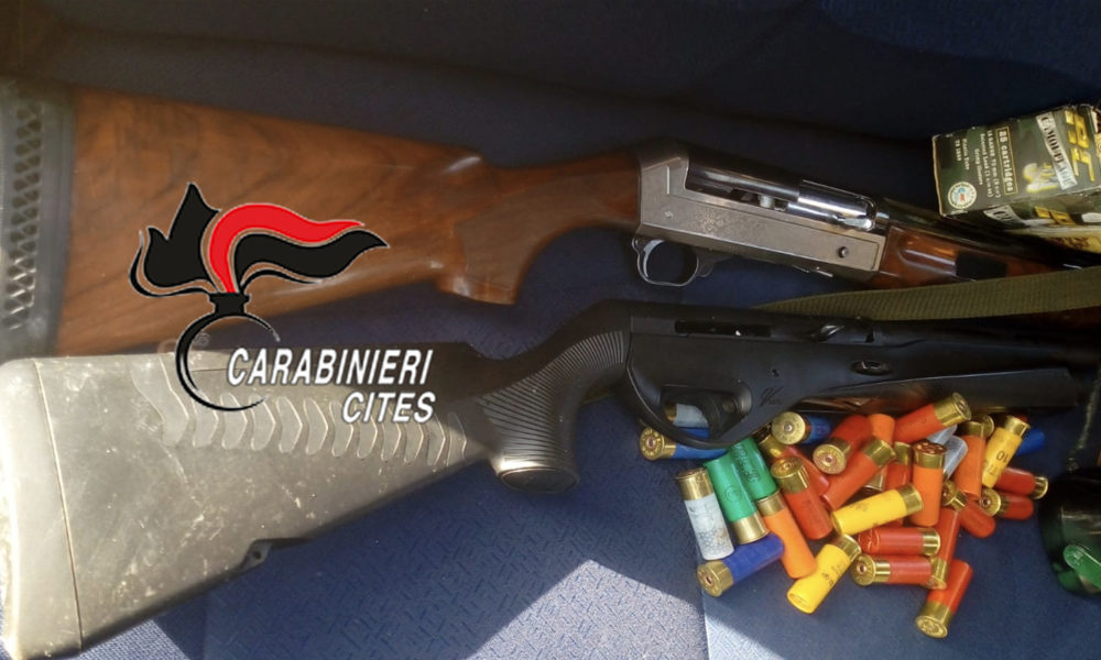 Servizio anti-bracconaggio tra Reggio e Messina: raffica di denunce