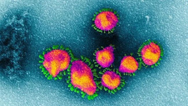 Coronavirus, un'analisi dei contagi a Messina