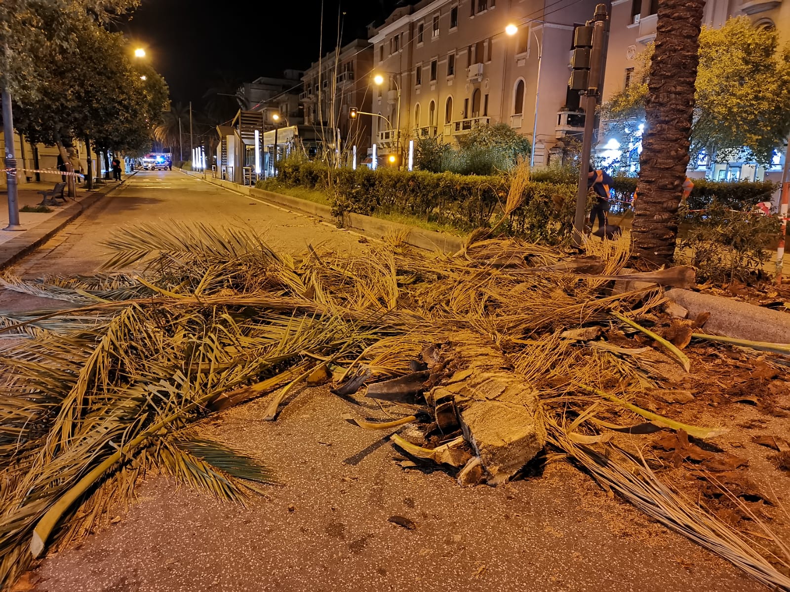 Vento forte, schianto di arbusti su viale San Martino