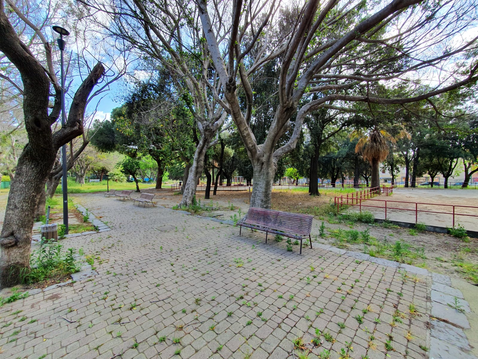 Potatura alberi, limitazioni nel perimetro di Villa Dante