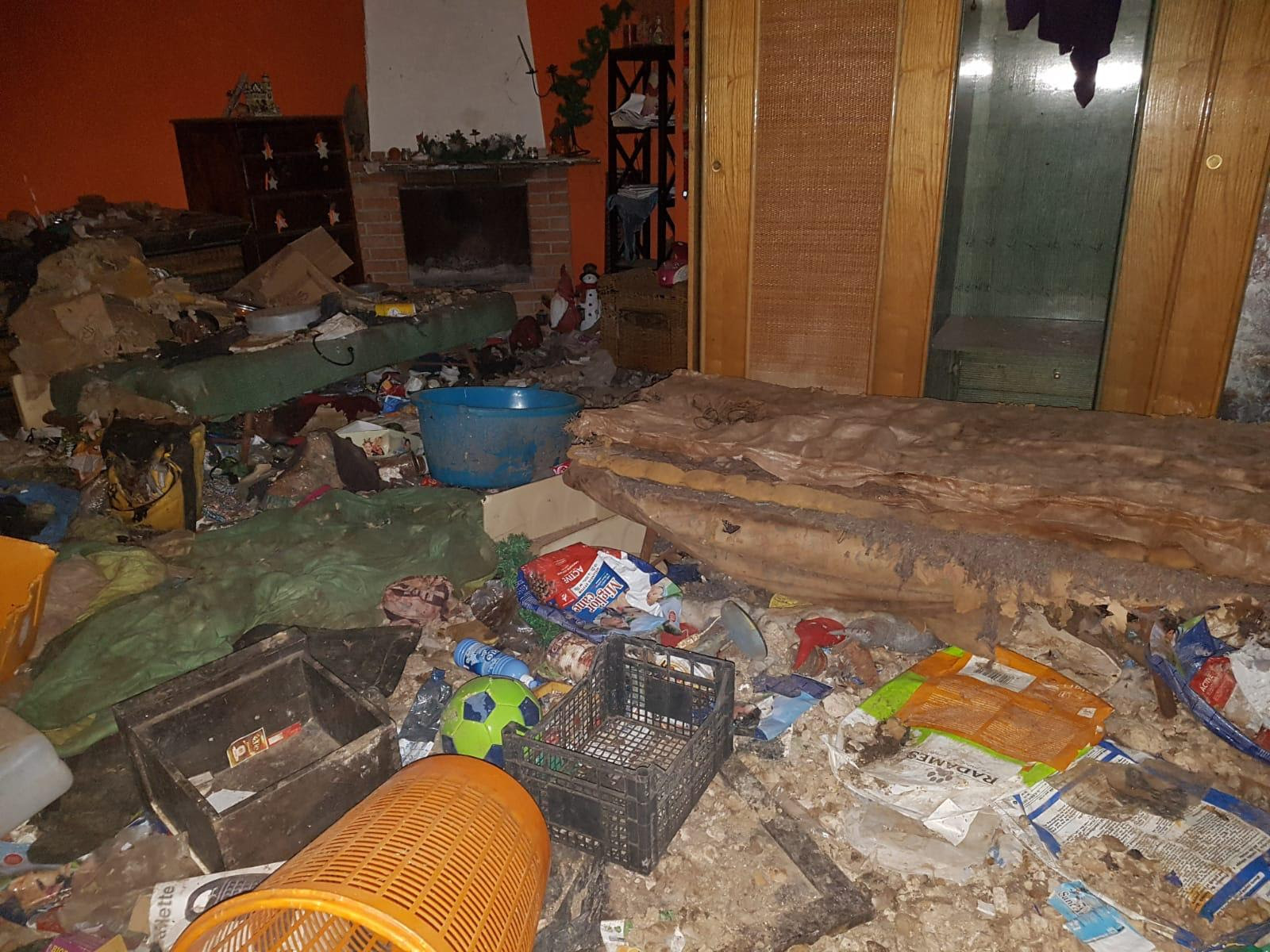 Canile-lager a Gesso, provvidenziale intervento dei volontari