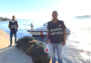 Pesca illecita di ricci: stangati pescatori