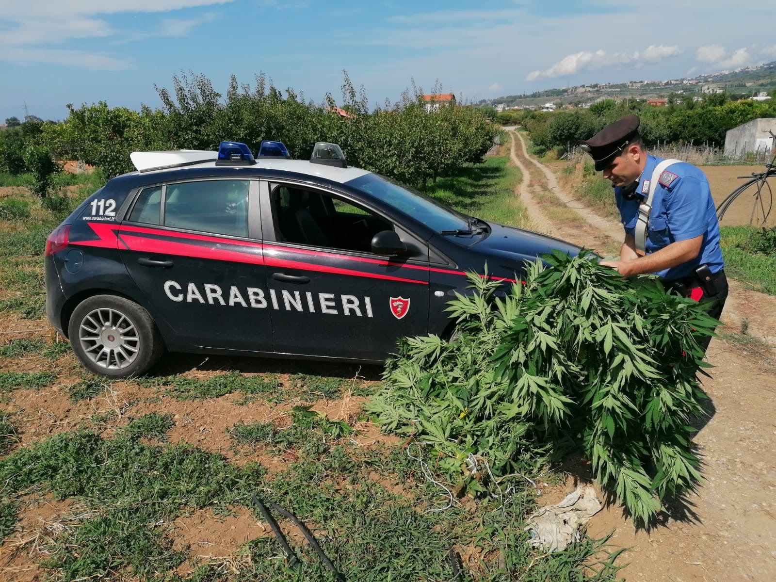 San Pier Niceto, coltiva marijuana: arrestato 59enne