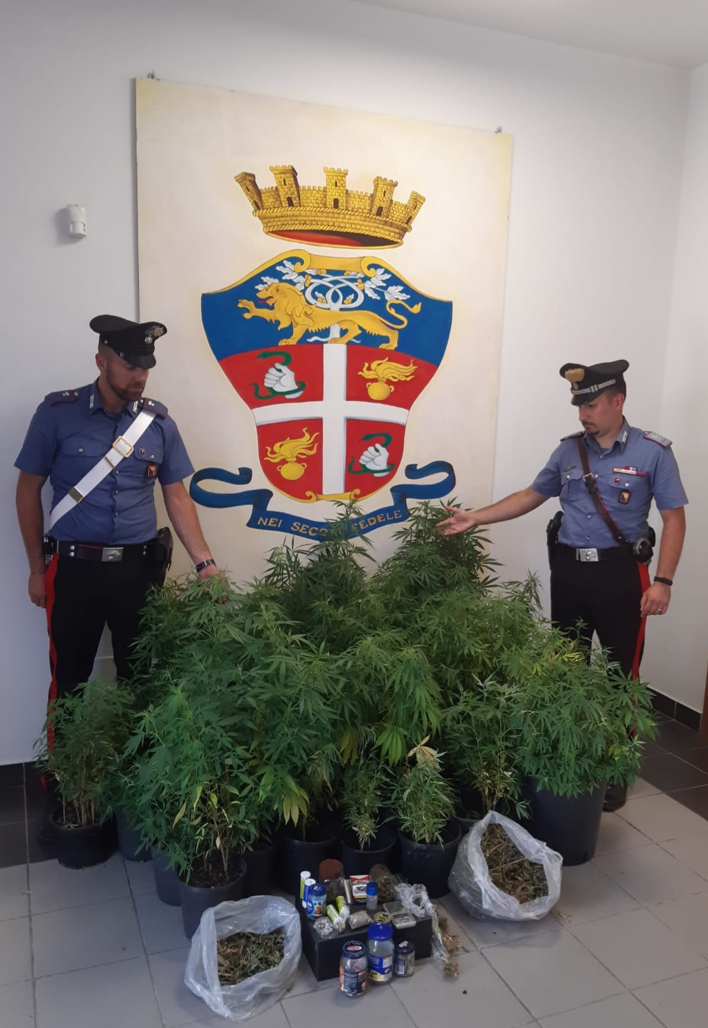 Mazzarrà Sant’Andrea, coltiva marijuana in casa: arrestato 35enne