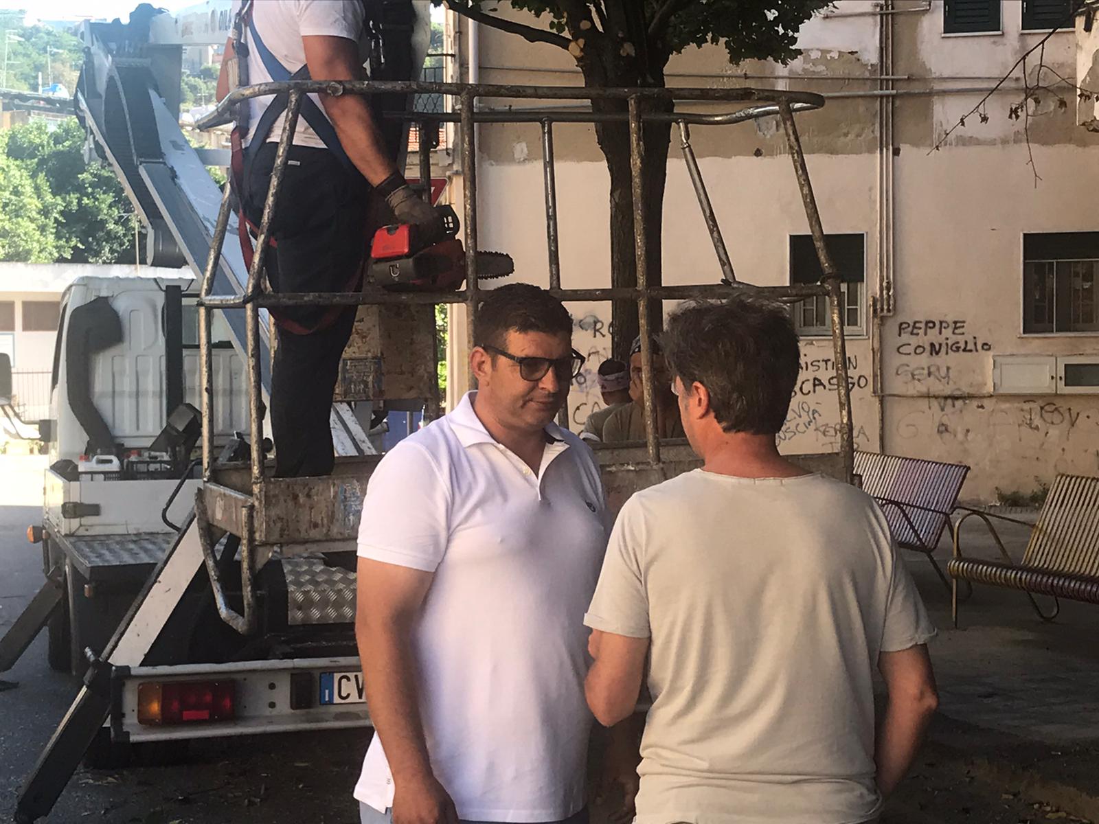 Potati gli alberi a Villa Lina, Bucalo: "Era l'ora"