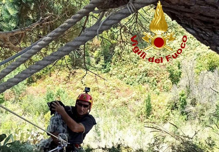 Lipari, VdF salvano cane precipitato in un dirupo