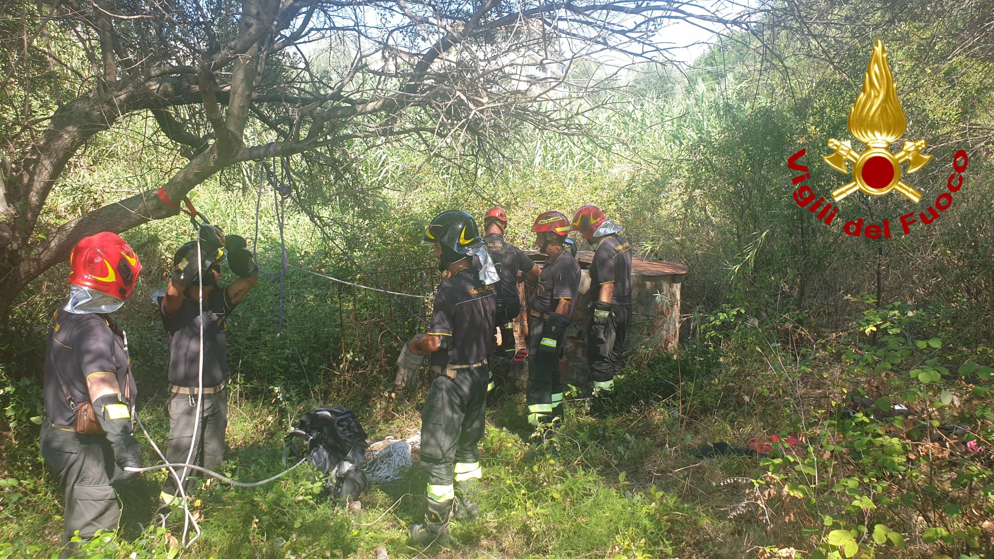 Viviana è morta, ma dov'è finito Gioele?