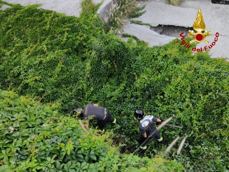 Micetto cade in un dirupo: intervengono i vigili del fuoco