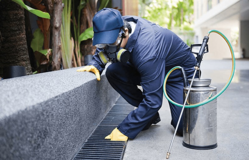 Disinfestazione, al via al terzo ciclo in centro