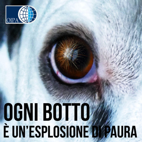 "Ogni botto è esplosione di paura", il decalogo di Capodanno per proteggere gli animali