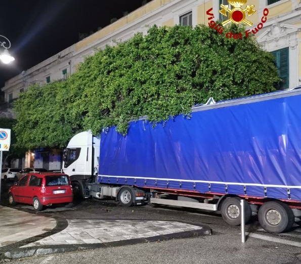 Camion si incastra tra gli alberi: "liberato" dai vigili del fuoco