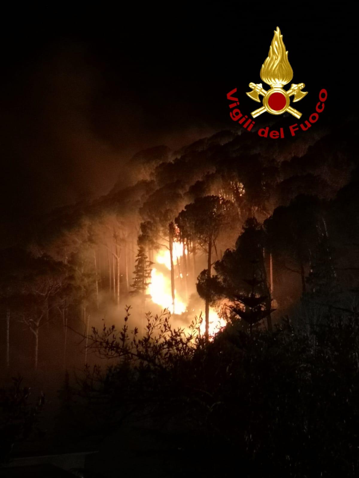Sant'Agata Militello, contrada Vallebruca divorata dalle fiamme
