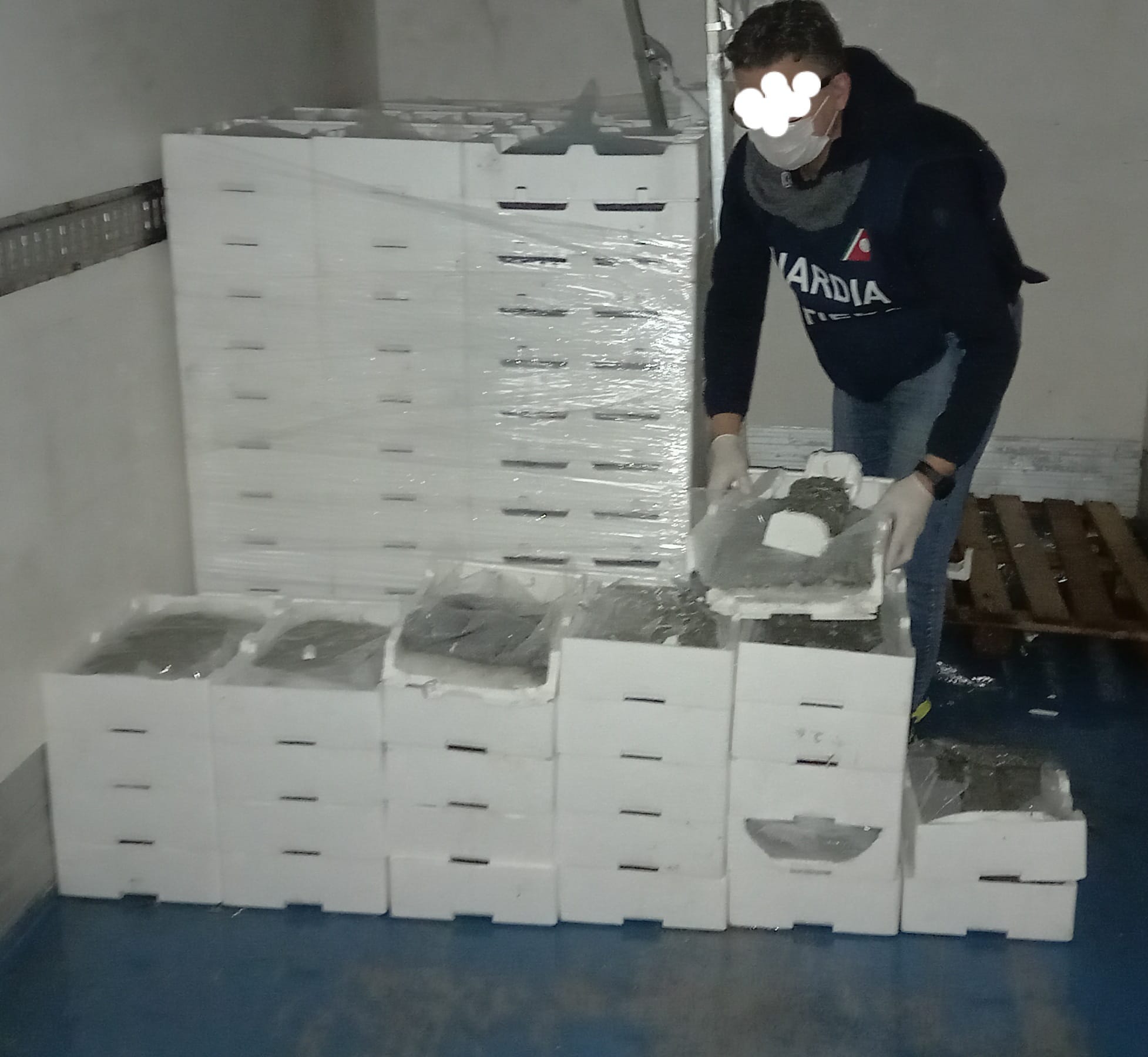 Trasportavano neonata e pesce non tracciabile: stangati i trasgressori