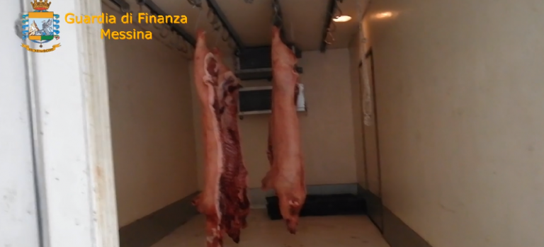 Scoperto dalla Gdf mattatoio abusivo