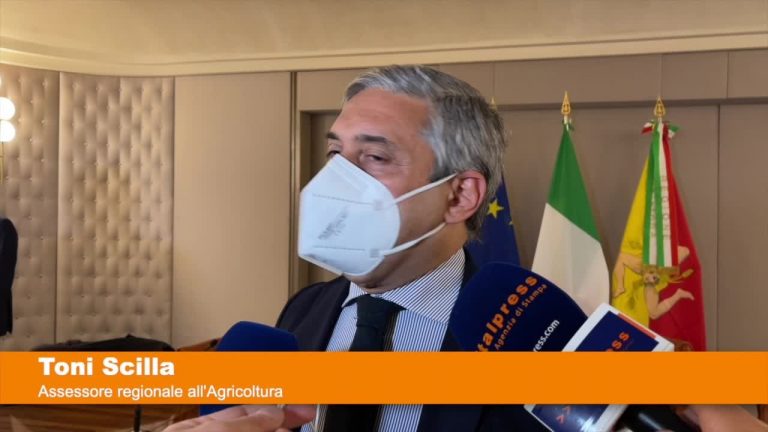 Quindici milioni per le aziende agricole siciliane