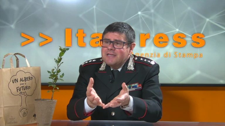 Dall’Albero Falcone nascono le piantine della legalità