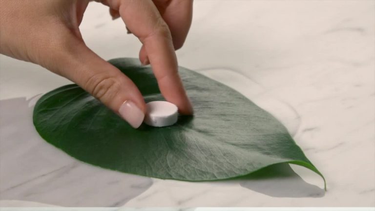 Allegrini, con VOIhotels sostenibilità per i cosmetici in albergo