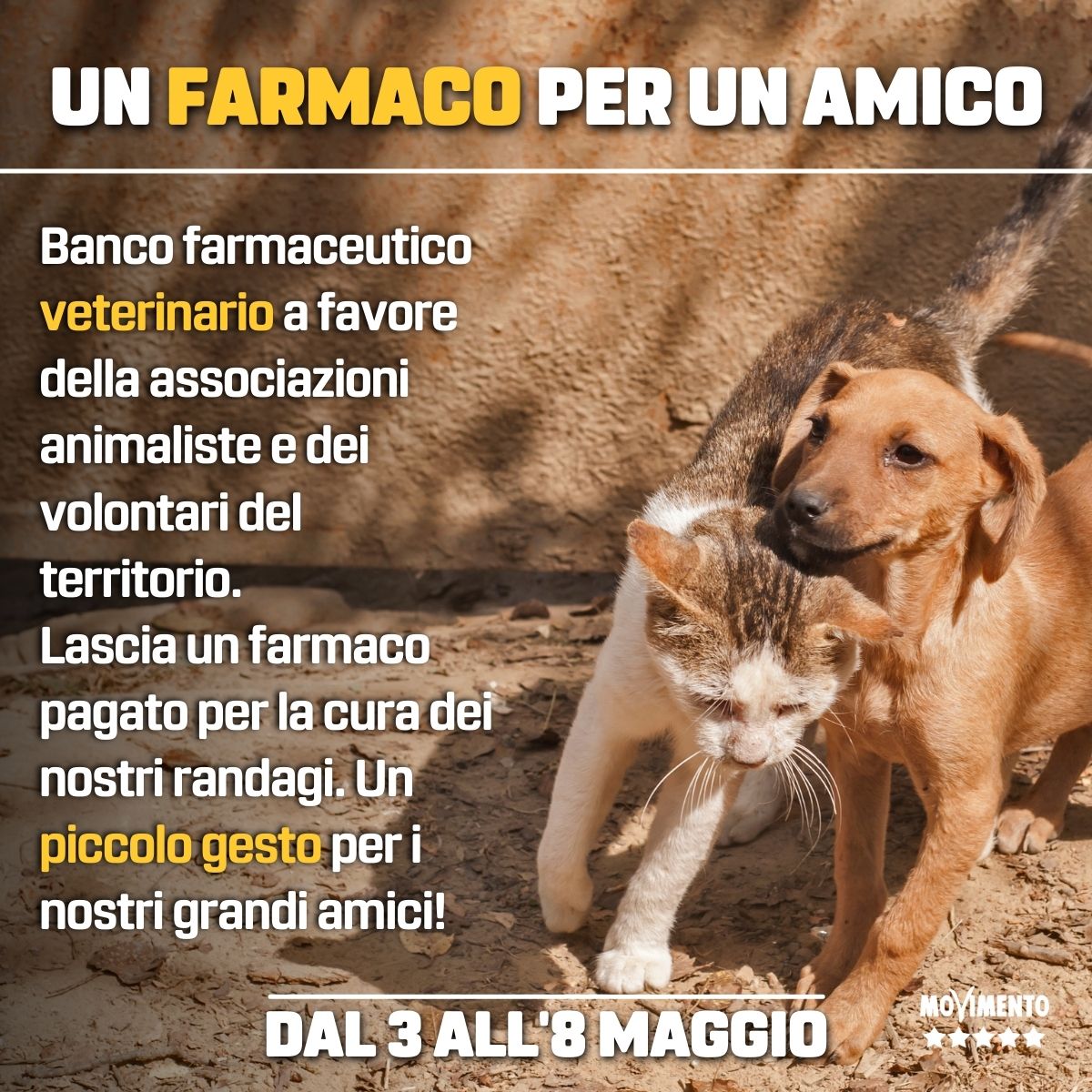 Un farmaco per un amico, sostegno per i cani randagi di Messina e provincia