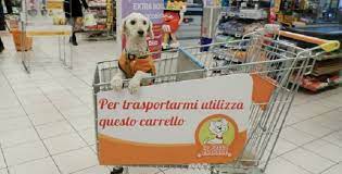 Aidaa: “Attenti, non fatevi rubare il cane al supermercato”