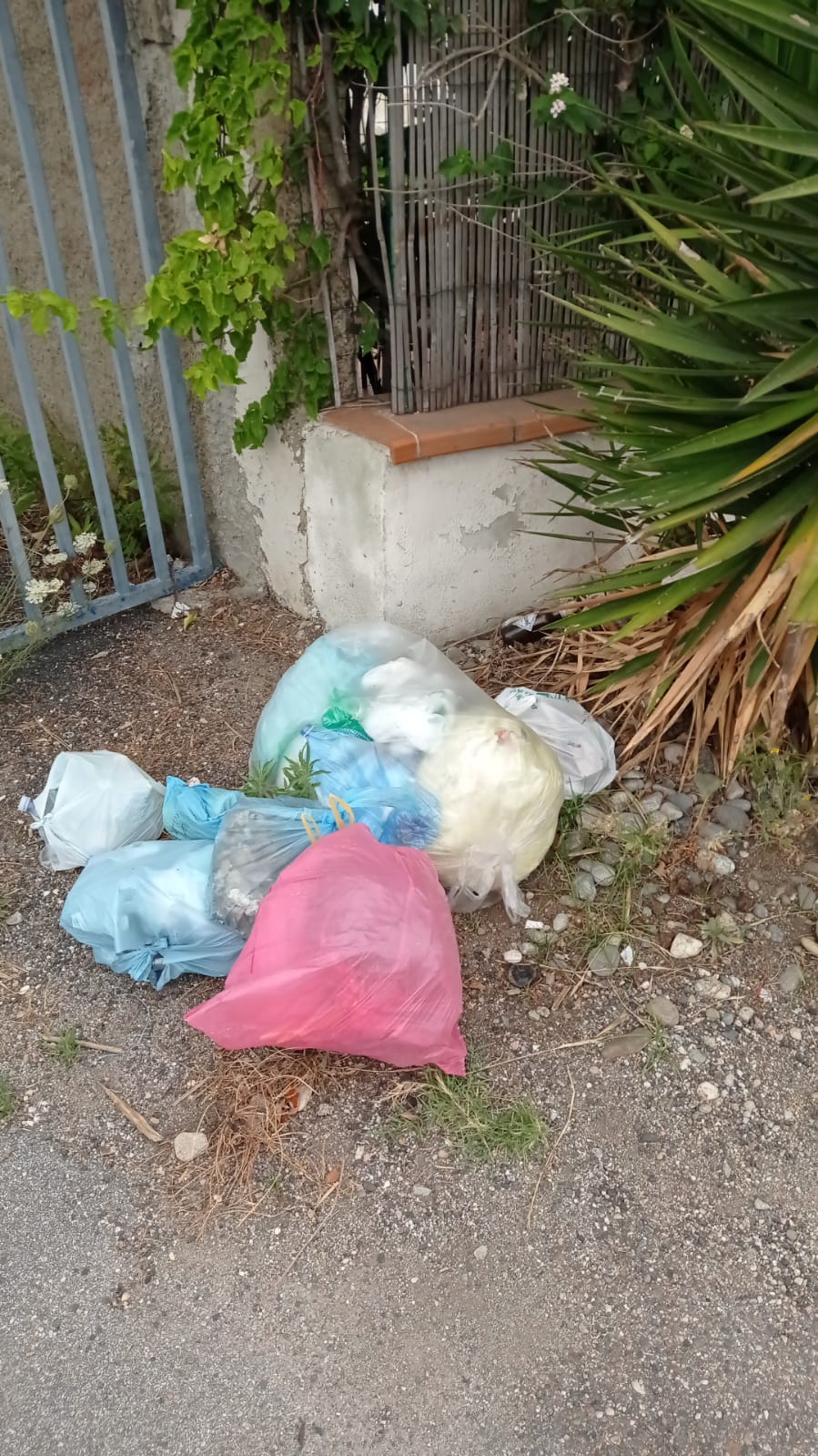 Torre Faro, c’è l’isola… e pure la spazzatura