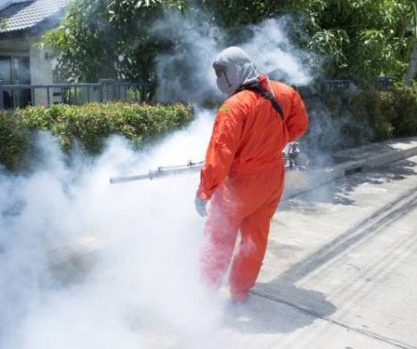 Disinfestazione dalle zanzare, interventi nella zona nord