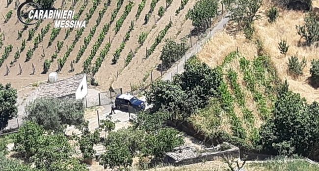 Si perde e vaga nel bosco, pastore salvato dai carabinieri - Messina Oggi
