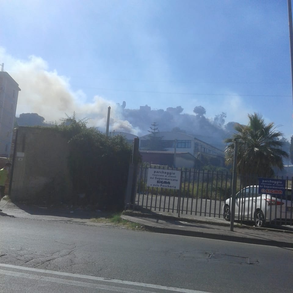 Contesse: incendio lambisce case e una fabbrica