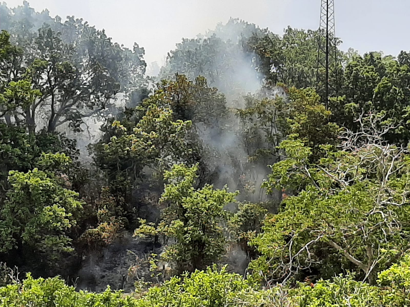 Peloritani nella morsa degli incendi