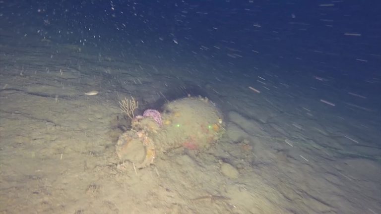 In Sicilia ritrovato un relitto romano del II secolo avanti Cristo