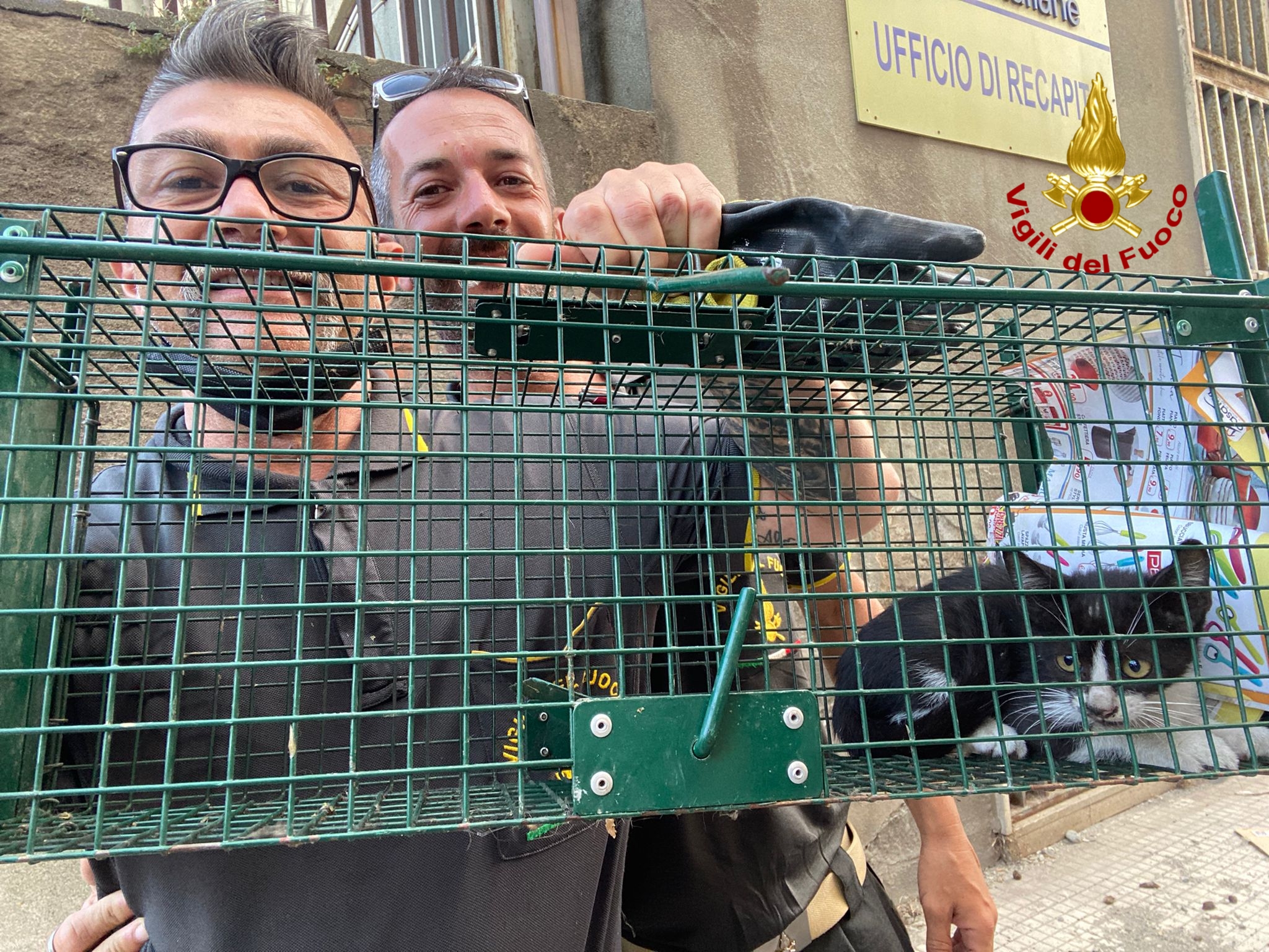 Micio intrappolato in un palazzo abbandonato: salvato dai pompieri